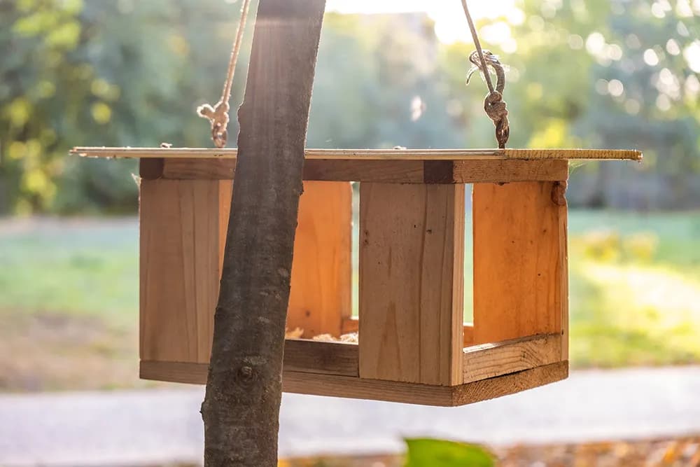 Jak zrobić prosty karmnik dla ptaków - Praktyczne wskazówki