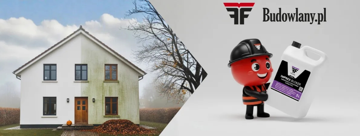 Jak zabezpieczyć tynk przed wilgocią i uniknąć kosztownych napraw