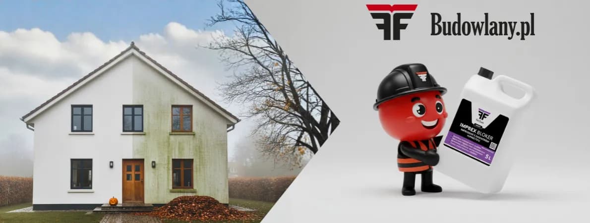 Jak zabezpieczyć tynk przed wilgocią i uniknąć kosztownych napraw