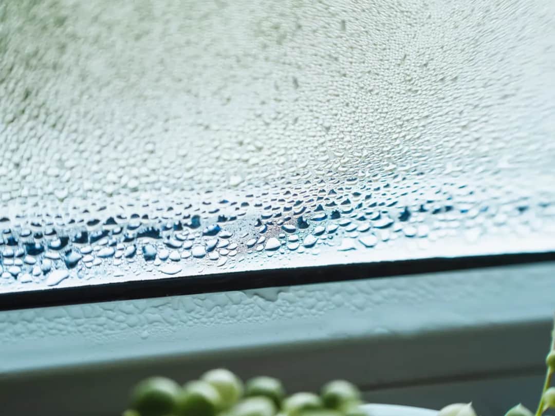 Parujące okna zimą? Sprawdź, jak skutecznie pozbyć się wilgoci!
