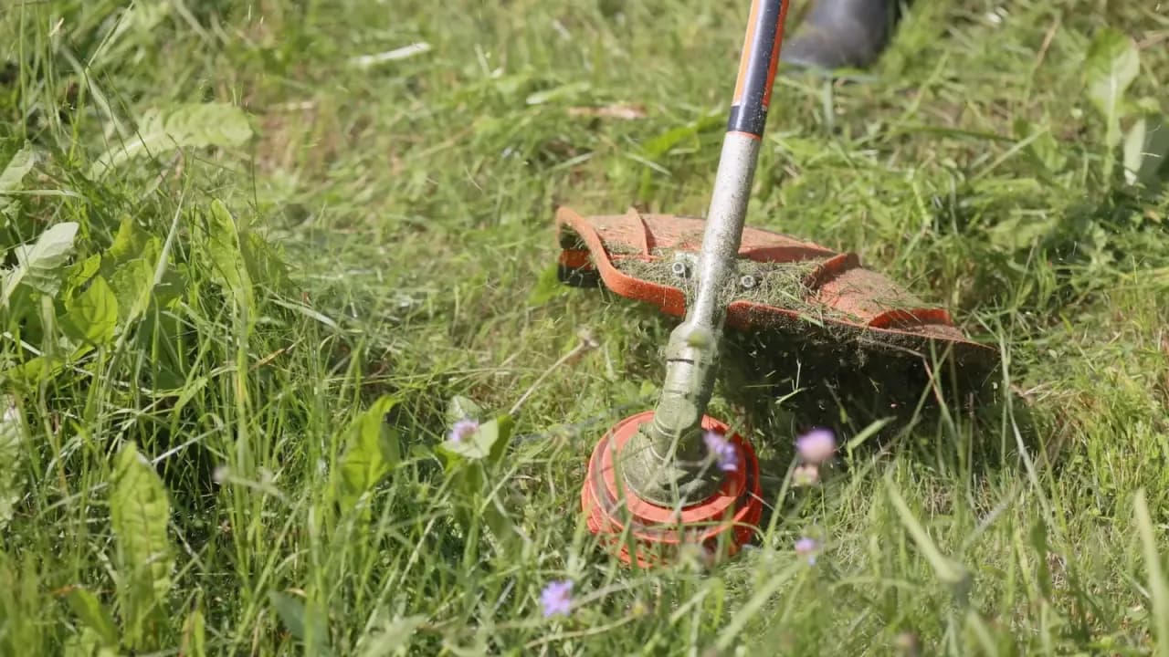 Czy warto zainwestować w podkaszarkę do trawy? Oto co musisz wiedzieć!