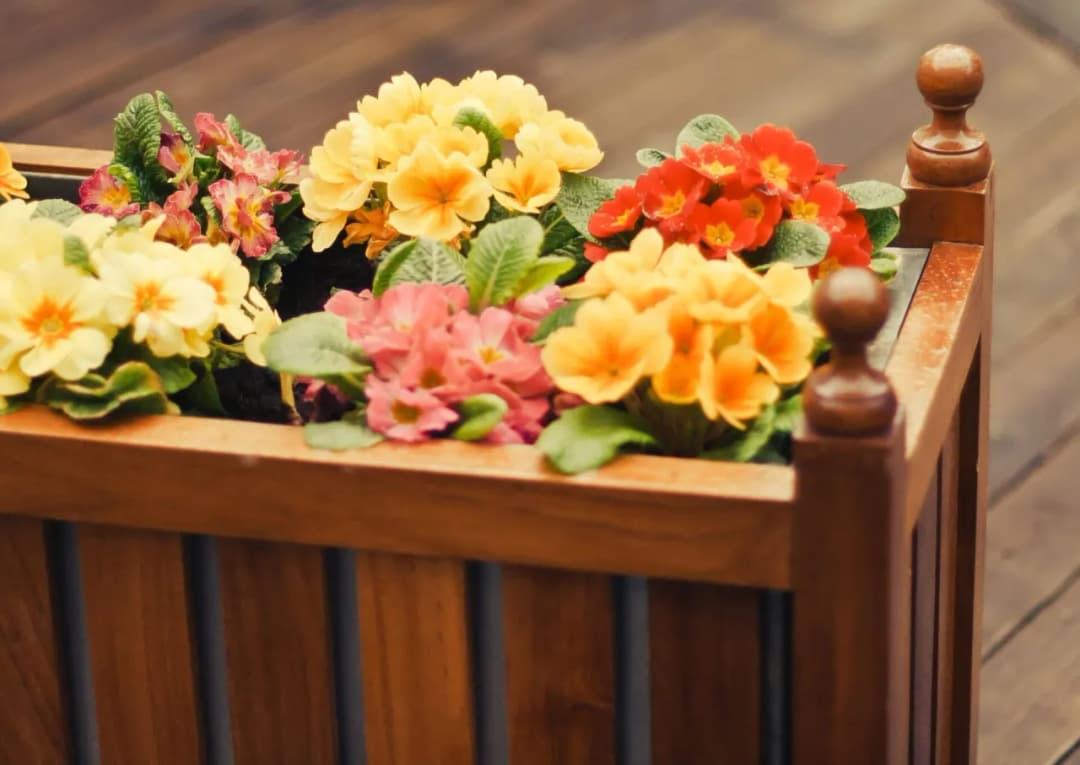 Z czego szybko zrobić piękny kwietnik do domu - praktyczny poradnik DIY