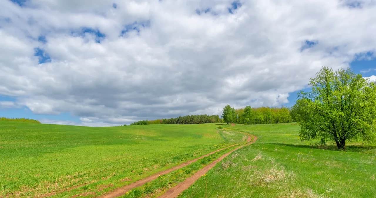 Ile kosztuje ar działki budowlanej na wsi?
