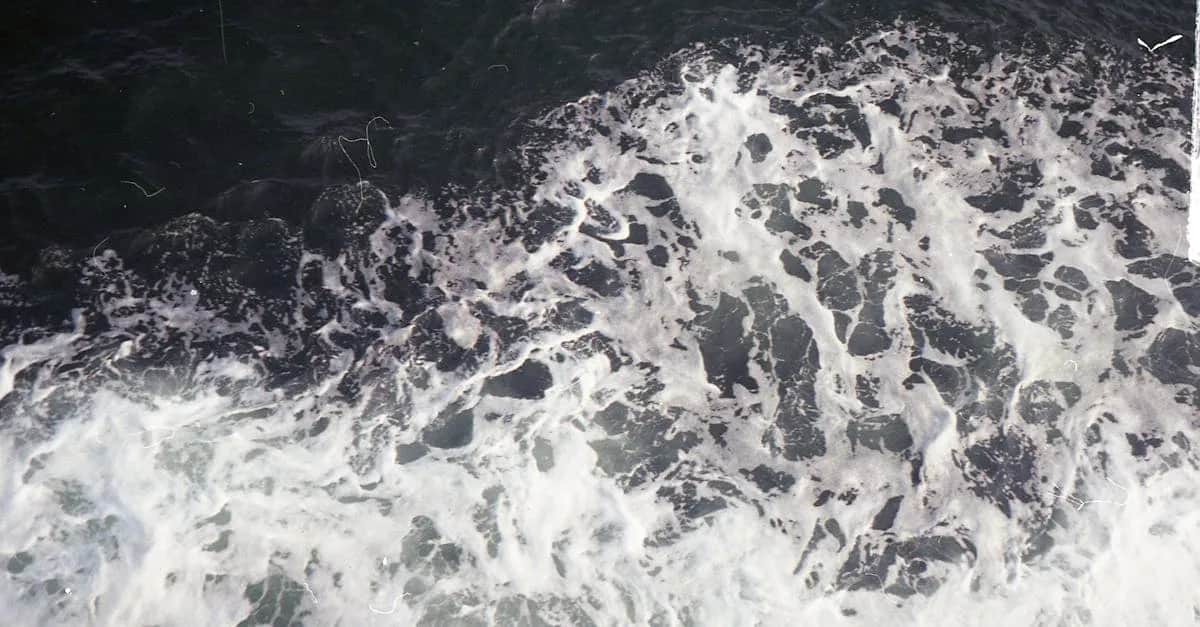 5 filmów marynarskich, które zmienią Twoje życie